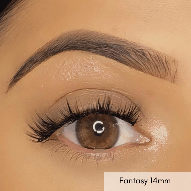 Fantasy Lash - Blush DIY Lashes